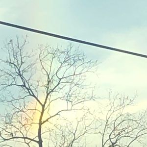 Meet your Posher, Sandy